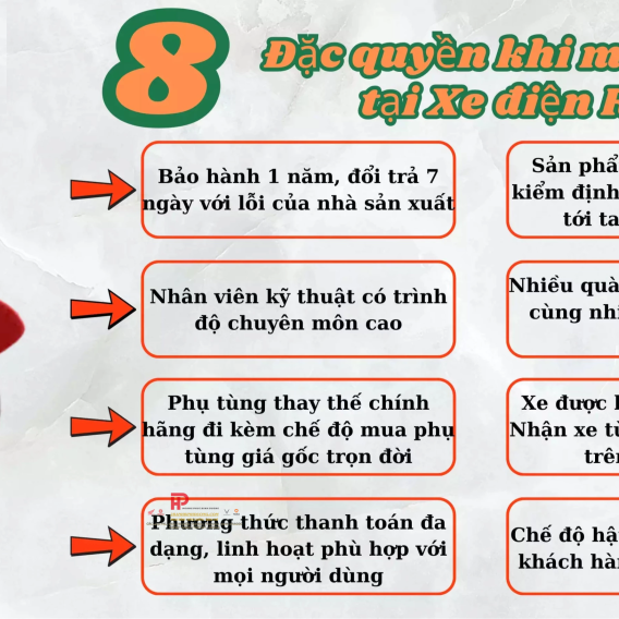 Xe Đạp Điện SK8, Mẫu Xe Điện Sk8 Chính Hãng, Bản Full Phụ Kiện - Phiên bản bình điện 14Ah+ Tặng bộ giỏ