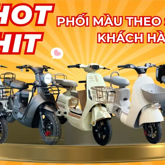 Xe Đạp Điện SK8, Mẫu Xe Điện Sk8 Chính Hãng, Bản Full Phụ Kiện - Phiên bản bình điện 14Ah+ Tặng bộ giỏ