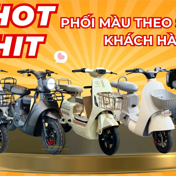 Xe Đạp Điện SK8, Mẫu Xe Điện Sk8 Chính Hãng, Bản Full Phụ Kiện - Phiên bản bình điện 14Ah Màu Trắng